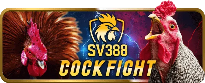 Quần vợt trên sân